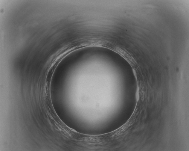 X0000084600338200703021632