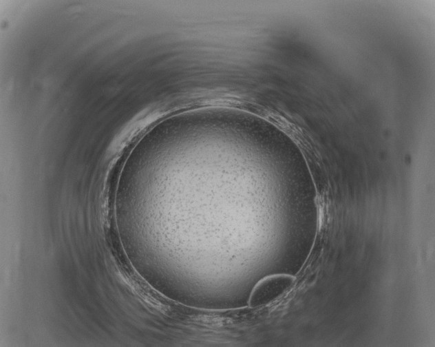 X0000084600339200703021632