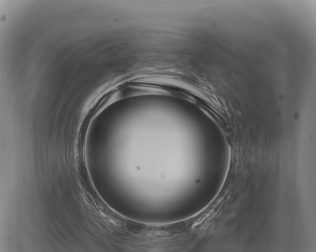 X0000084600340200703021632