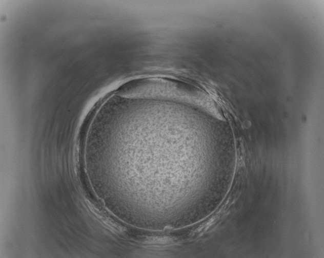 X0000084600342200703021632