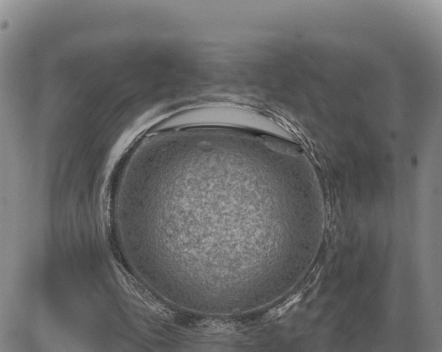 X0000084600343200703021632