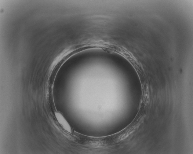 X0000084600344200703021632