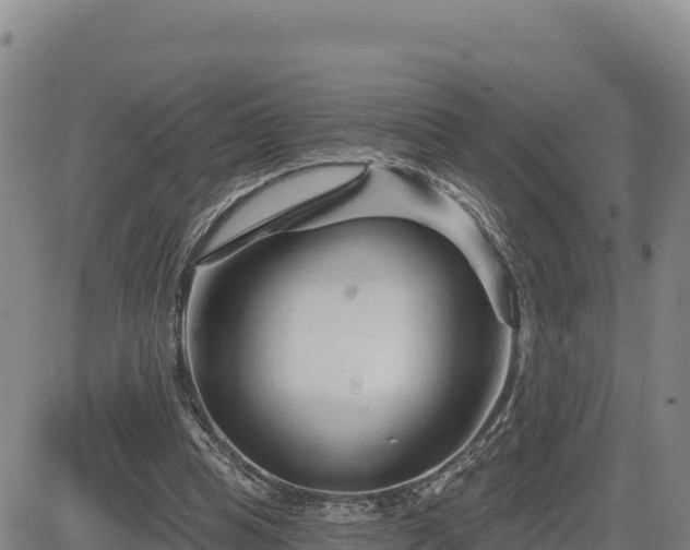 X0000084600345200703021632