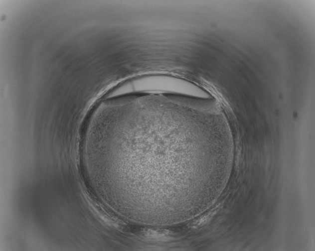 X0000084600346200703021632