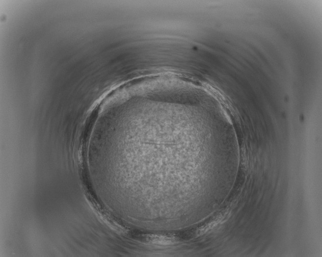 X0000084600347200703021632