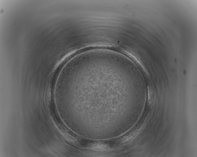 X0000084600348200703021632