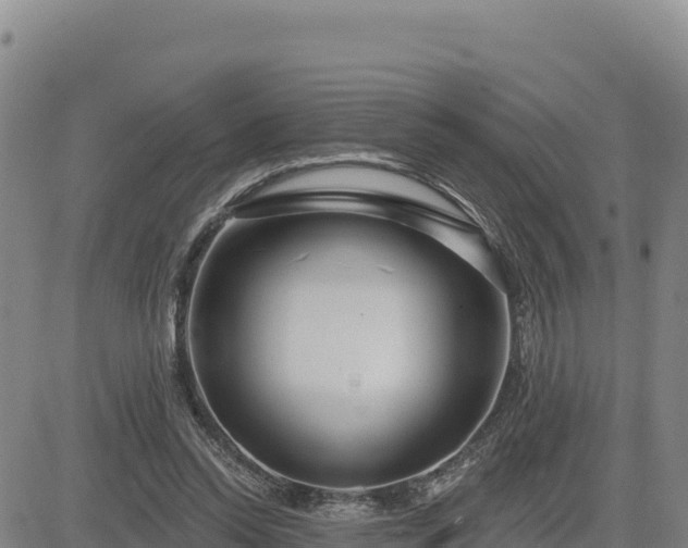 X0000084600350200703021632