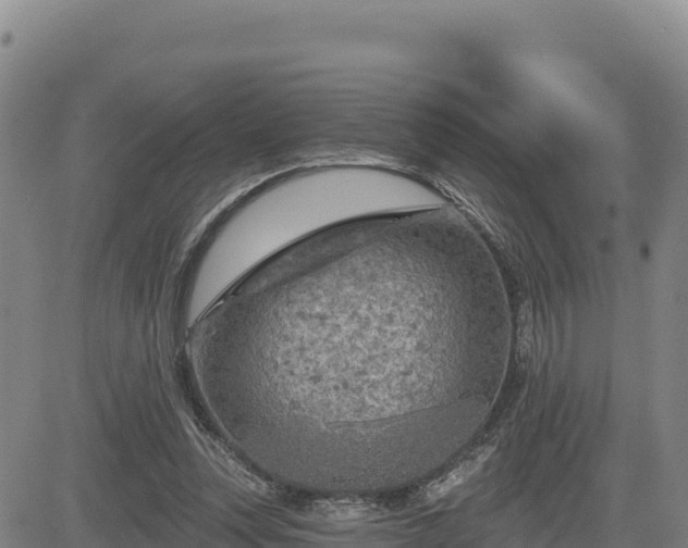 X0000084600351200703021632