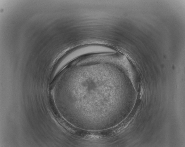 X0000084600352200703021632