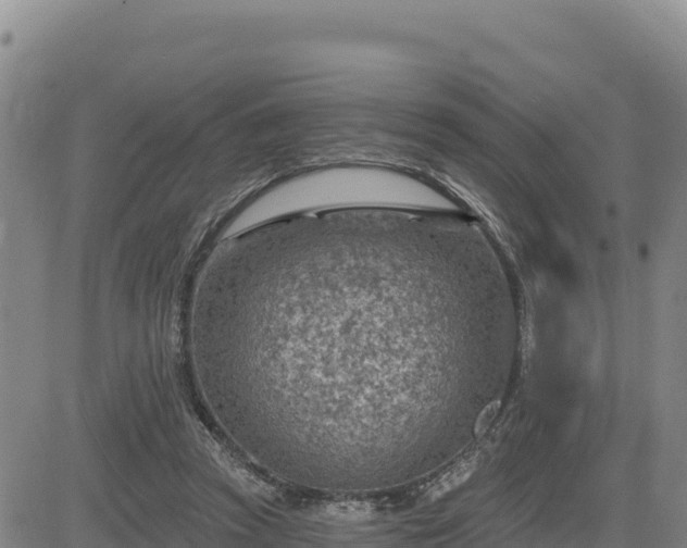 X0000084600353200703021632