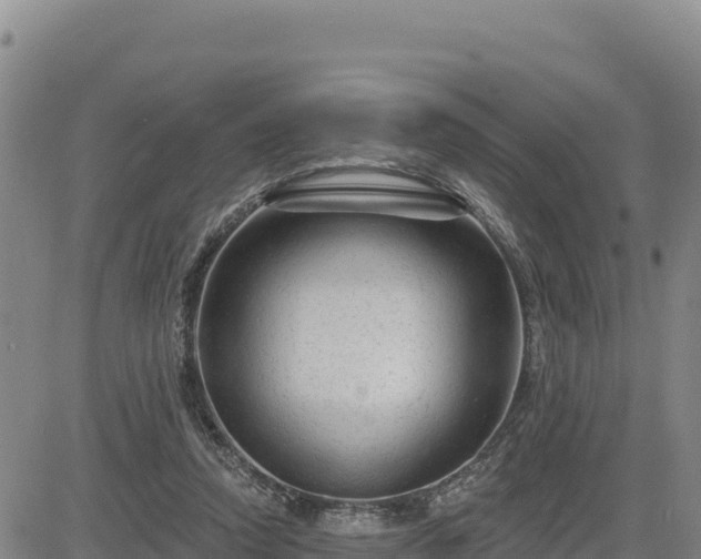 X0000084600354200703021632