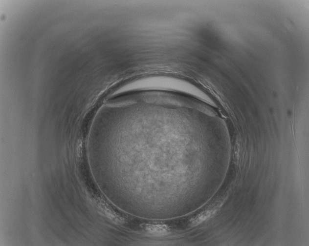 X0000084600355200703021632