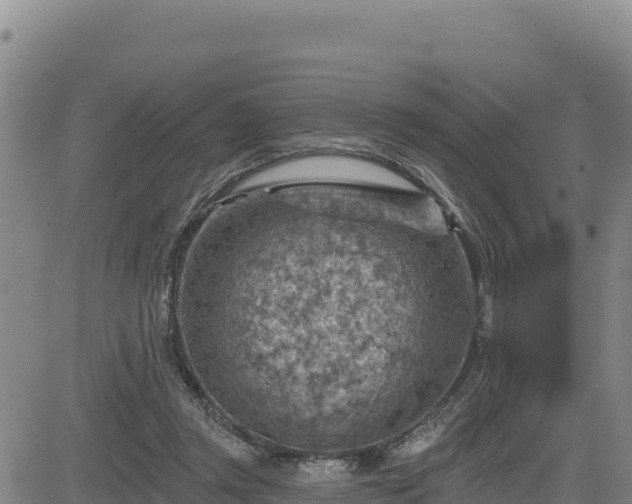 X0000084600357200703021632