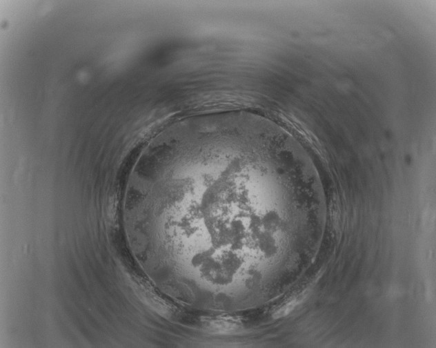 X0000084600359200703021632