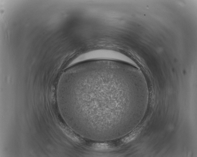 X0000084600361200703021632