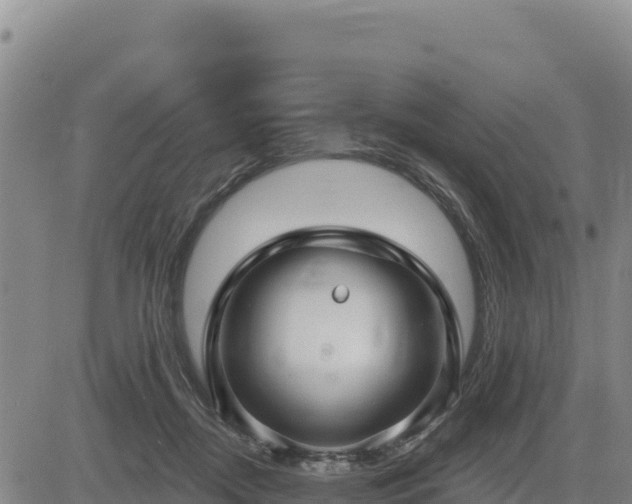 X0000084600362200703021632