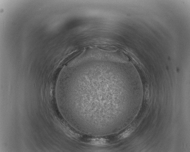 X0000084600363200703021632