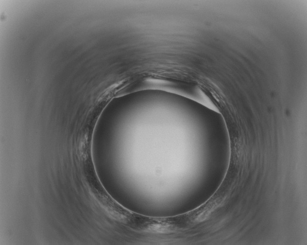 X0000084600364200703021632