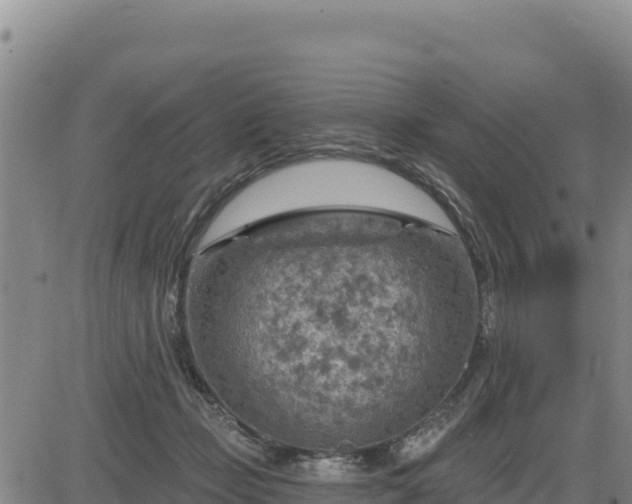 X0000084600365200703021632