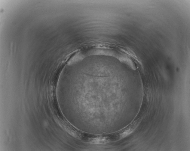 X0000084600366200703021632