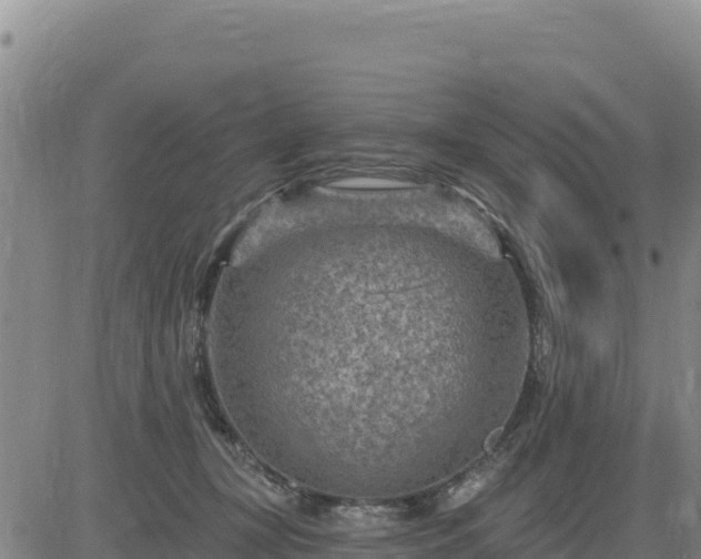 X0000084600367200703021632