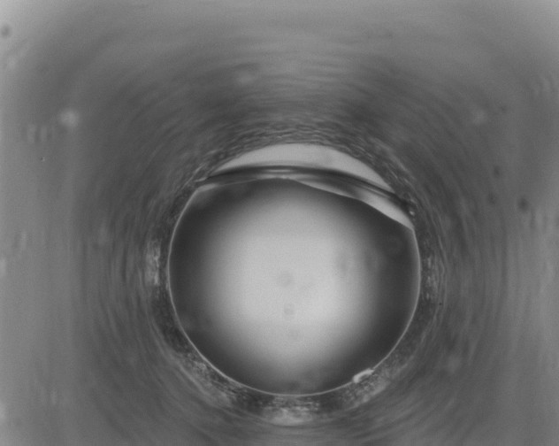 X0000084600368200703021632