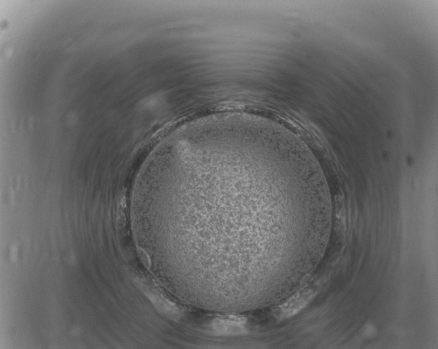 X0000084600369200703021632