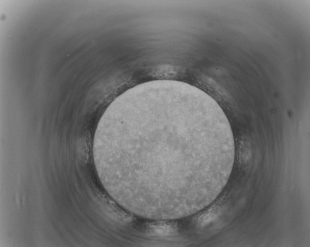 X0000084600370200703021632