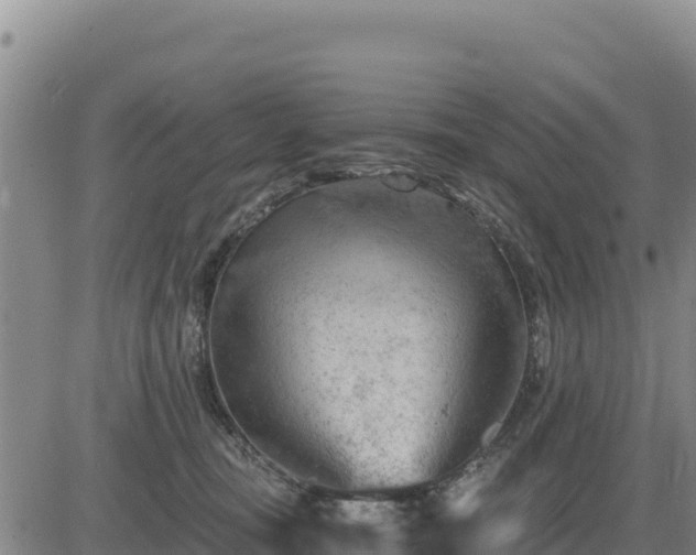 X0000084600371200703021632