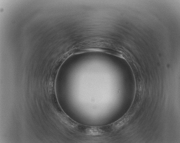 X0000084600372200703021632