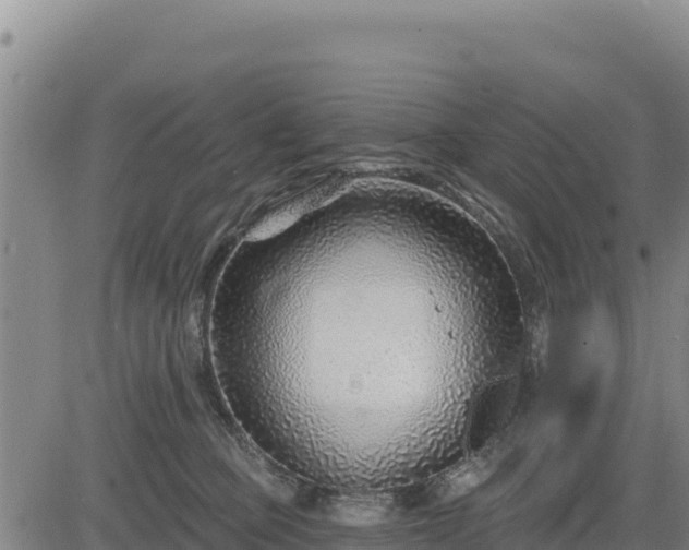 X0000084600373200703021632