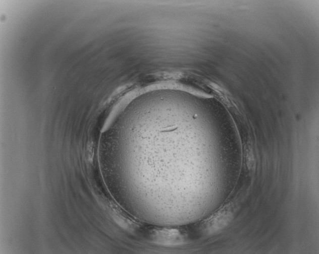 X0000084600374200703021632