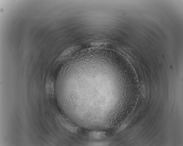 X0000084600375200703021632