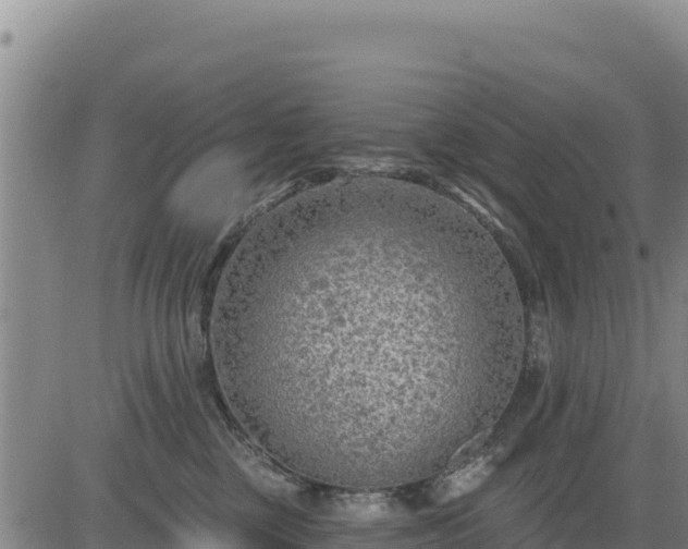 X0000084600377200703021632