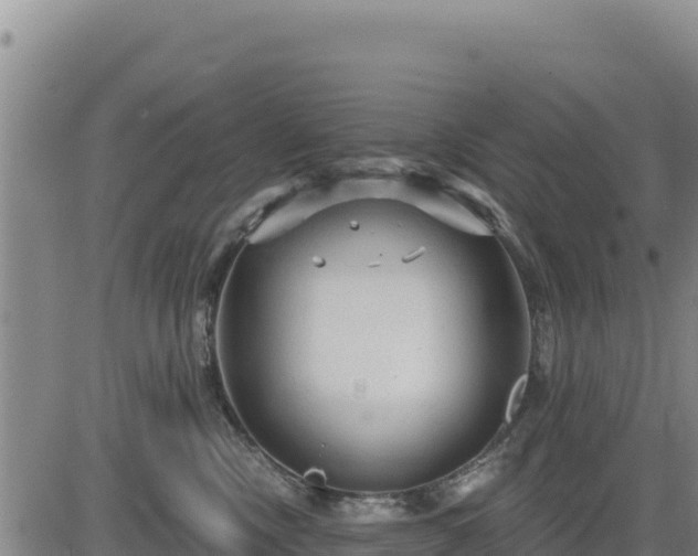 X0000084600378200703021632