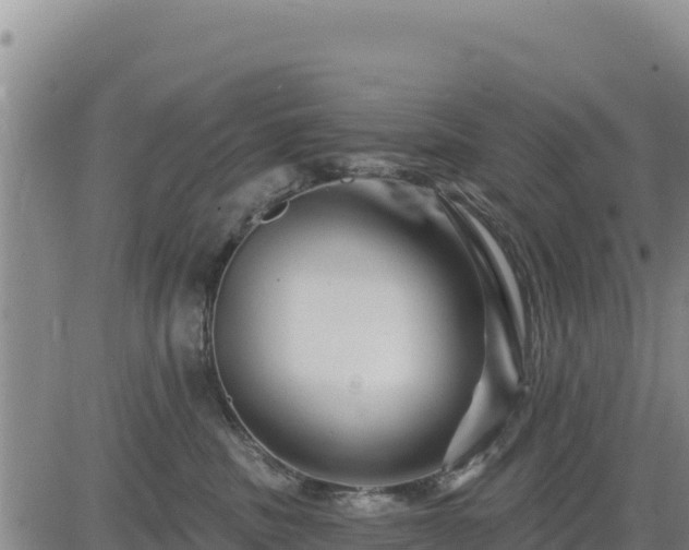 X0000084600379200703021632