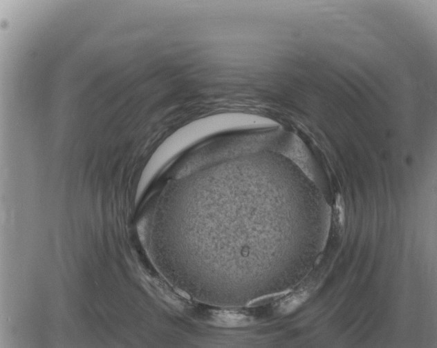 X0000084600380200703021632