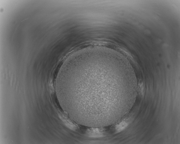 X0000084600381200703021632