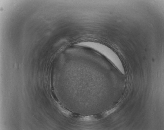 X0000084600382200703021632