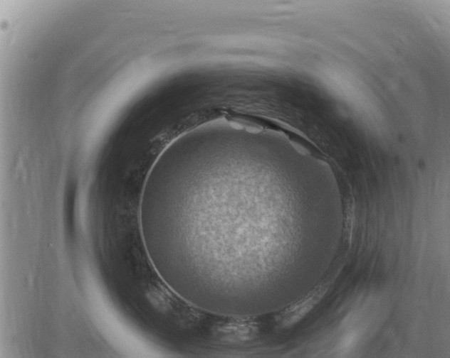 X0000084600383200703021632