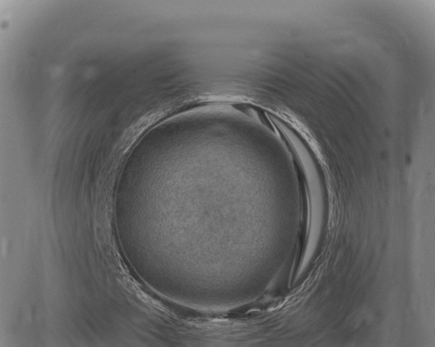 X0000084600385200703021631