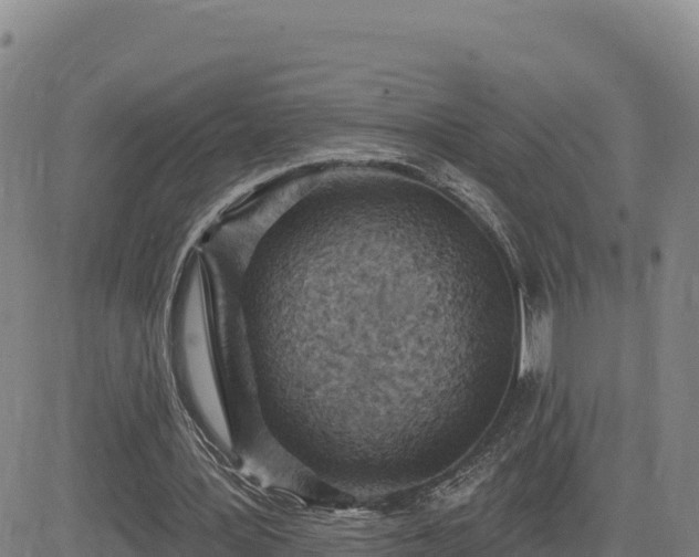 X0000084600387200703021631