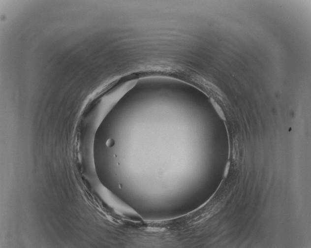 X0000084600388200703021631