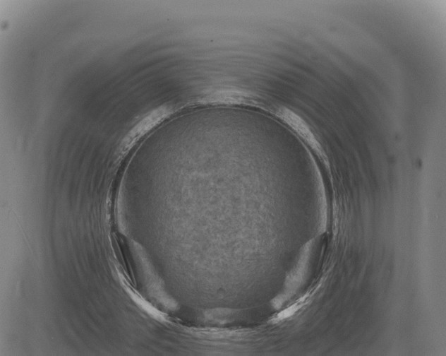 X0000084600389200703021631