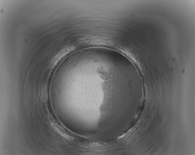 X0000084600390200703021631