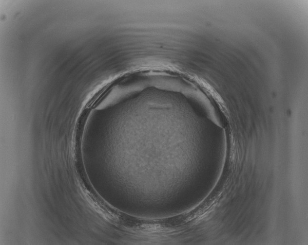 X0000084600391200703021631