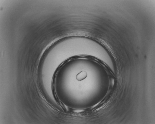 X0000084600392200703021631