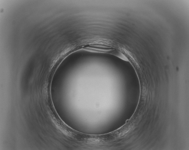 X0000084600394200703021631