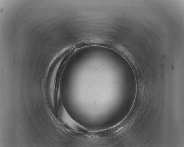 X0000084600395200703021631