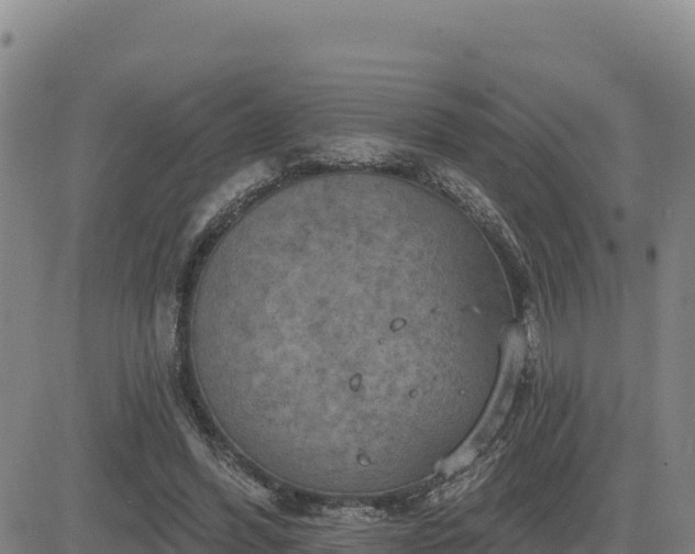 X0000084600396200703021631